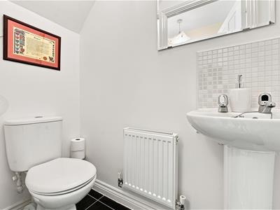 Picture 9